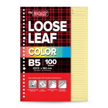 BigBoss Loose Leaf 100 B5 Berwarna