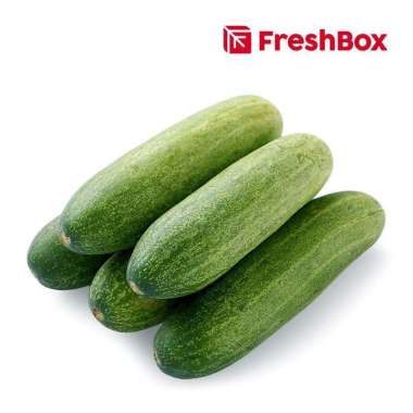 FreshBox Timun Sayuran [1 kg]