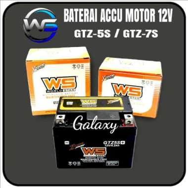 Aki Accu Motor Matic Kering Original GTZ5S & GTZ7S WS GTZ 7S