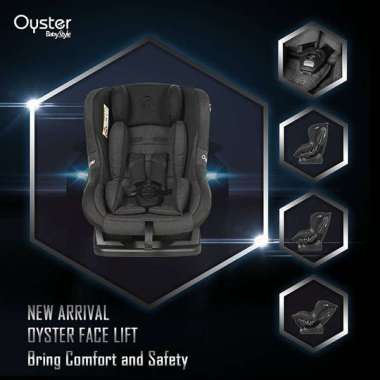 Oyster Carseat Multicolor