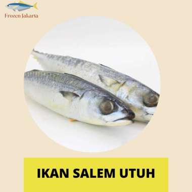 IKAN SALEM UTUH FROZEN JAKARTA 1KG