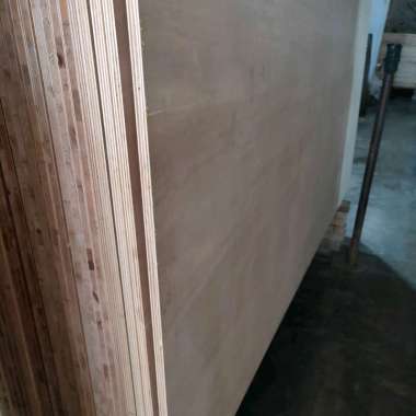 Plywood / Triplek 18 mm UTY