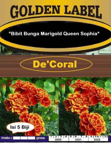 Bibit Bunga Marigold Queen Sophia | Benih Bunga Marigold Queen Sophia