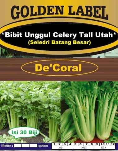 Bibit Celery Tall Utah | Benih Seledri Batang Besar | Seledri Jumbo