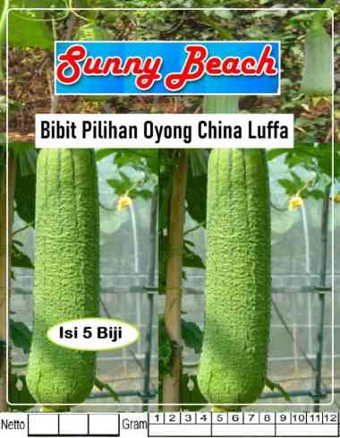 Bibit Piihan Oyong China Luffa|Benih Oyong China Luffa|Bibit Oyong