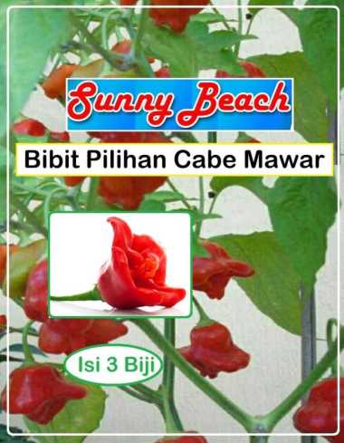 Bibit Pilihan Cabe Mawar|Biji Benih Cabai Mawar| Bibit Cabe Hias