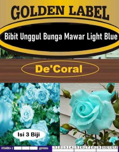 Bibit Unggul Bunga Mawar Light Blue|Benih Bunga Mawar Biru Muda|Rose