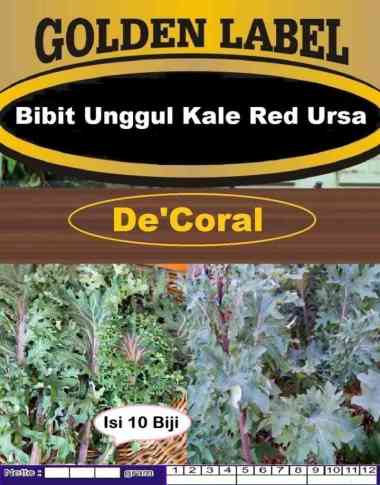 Bibit Unggul Kale Red Ursa|Biji Benih Kale Red Ursa|Kale Merah