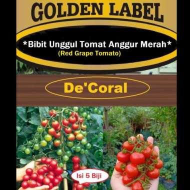 Bibit Unggul Tomat Anggur Merah|Benih Tomat Anggur Merah|Tomat Anggur
