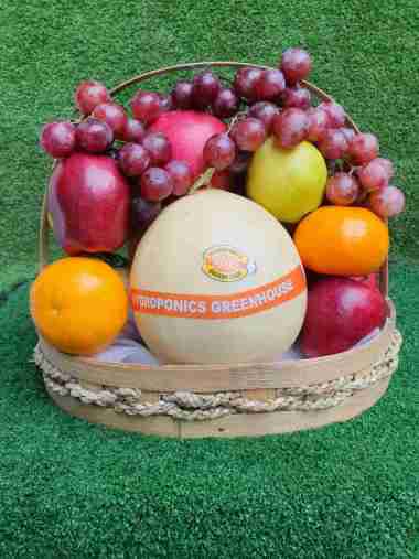 DUTA BUAH PARCEL BUAH C