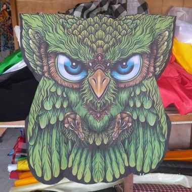 Layangan Burung celepuk printing kain printing bongkar pasang Print alis hijau