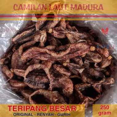 TERIPANG LAUT BESAR Rambak Renyah Gurih Siap Makan 250 gram Tanpa Tepung Bebas Gluten Asli Alami Ole