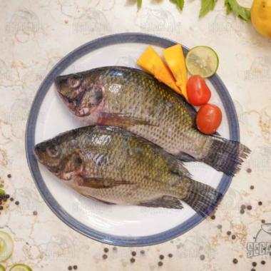 Ikan Mujair | FRESH Dibersihkan