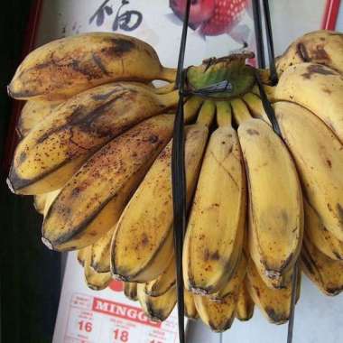 Pisang Per Sisir mas / Kepok / Siem / Nagka / Uli / Tanduk / Lampung Pisang Kepok