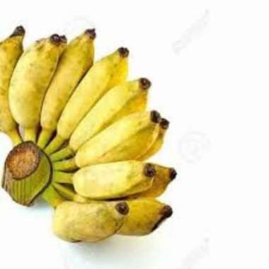 Pisang Per Sisir mas / Kepok / Siem / Nagka / Uli / Tanduk / Lampung Siem / Siam