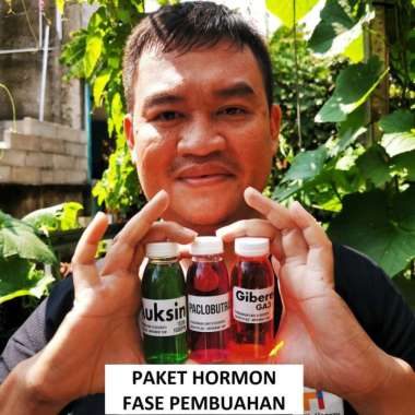 Paket Hormon Pembuahan Auksin Paclobutrazol Giberelin 300ml Generatif
