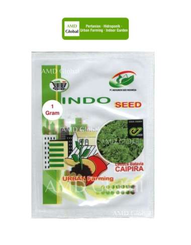 benih selada caipira / lettuce batavia caipira enza zaden ez indogreen Multicolor