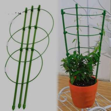 turus tanaman rambat / tiang rambatan tanaman Multicolor