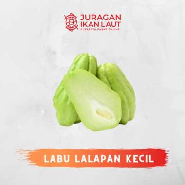 Labu Siam Lalapan Kecil Segar - 500 Gram