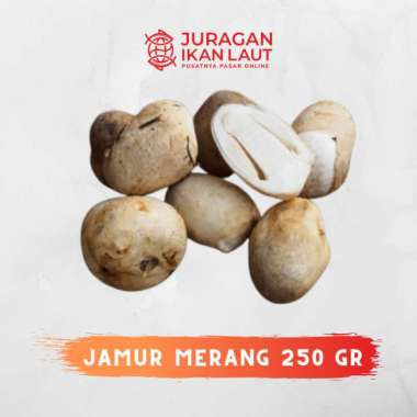 Jamur Merang Segar Berkualitas - 250 Gram