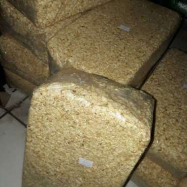 serbuk kayu hamster . landak mini