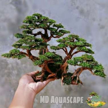 Bonsai Aquascape Jungle Size XL Multicolor