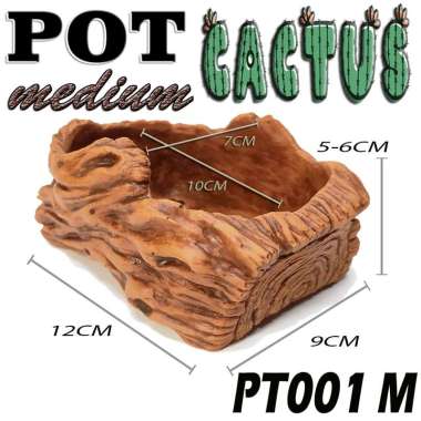 POT KAKTUS SUKULEN RELIEF UKIR MEDIUM/ SMALL TEMPAT WADAH TANAMAN HIAS POHON CACTUS HAWORTHIA CANDI 