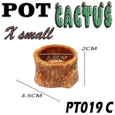 POT KAKTUS SUKULEN RELIEF UKIR MEDIUM/ SMALL TEMPAT WADAH TANAMAN HIAS POHON CACTUS HAWORTHIA CANDI 