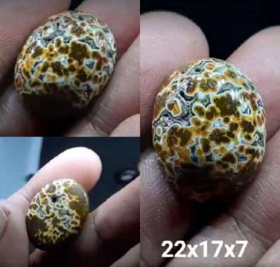 Akik Natural Batu Jasper Garut Klawing Motif Gambar Telur Kodok Antik7
