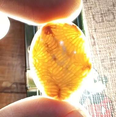 Natural Akik Batu Motif Gambar Teratai Jaring Lipan Putih Antik 1