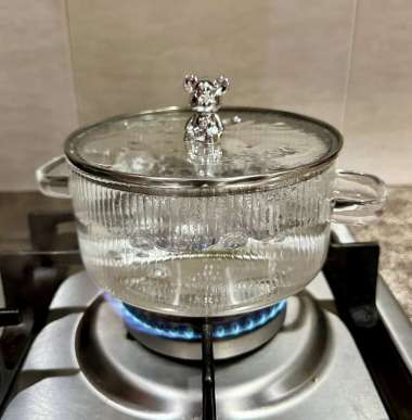 Panci kaca bening borosilicate tahan panas tutup kaca 16cm