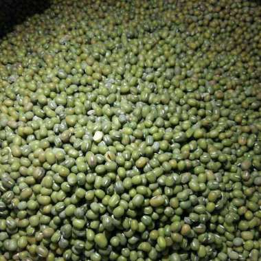 KACANG HIJAU KEMASAN KILOAN (500 gram | 1/2 kg) - MUNG BEAN by HasanMart