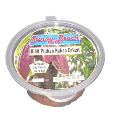 34 Cup Bibit Pilihan Kakao Coklat |Bibit Buah Kakao | Buah Cokelat