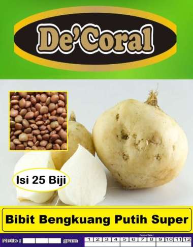 Bibit Bengkuang Putih Super |Bibit Bangkuang Putih Super |Bengkoang