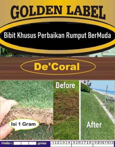 Bibit Khusus Perbaikan Rumput Bermuda | Bibit Perawatan Rumput Bermuda