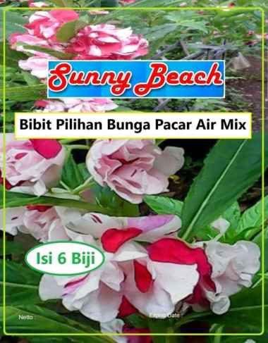 Bibit Pilihan Bunga Pacar Air Mix | Biji Benih Bunga Pacar Air Mix