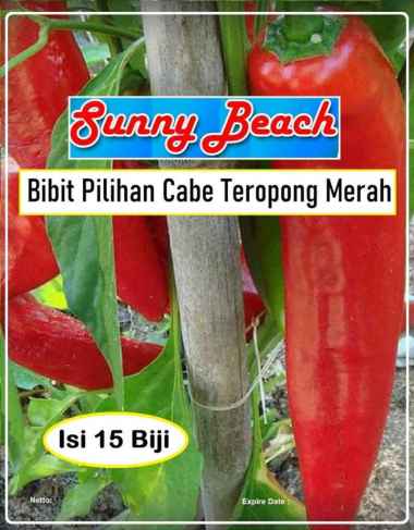 Bibit Pilihan Cabe Teropong Merah |Benih Cabe Jumbo Merah |Cabe Merah