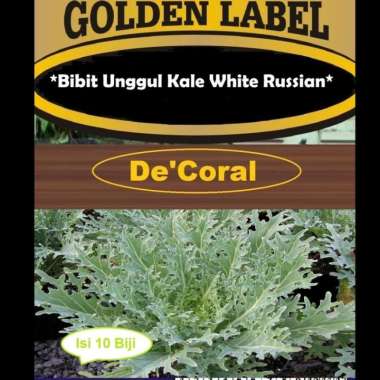 Bibit Unggul Kale White Russian | Benih Kale White Russian |Kale Putih