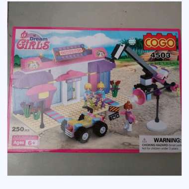 COGO Girls 4503 Magibrix 250 pcs