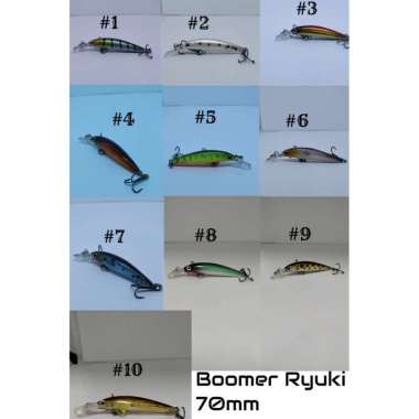 Boomer Ryuki 70mm