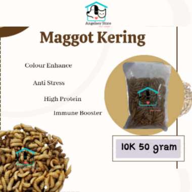 Magot kering 50gram maggot kering berkualitas pelet koi Channa Barca