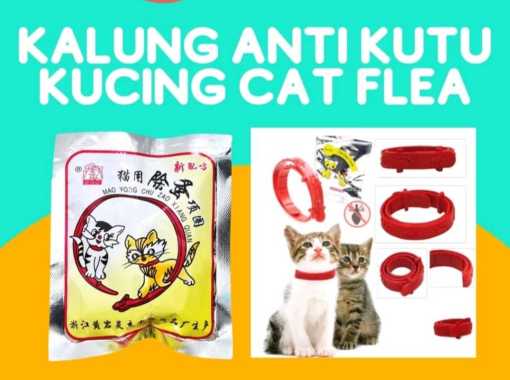 CAT FLEA circle kalung anti kutu kucing mao yong