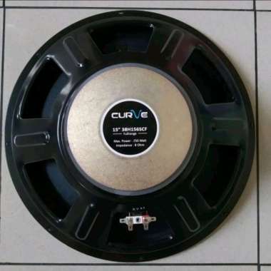 SPEAKER 15 INCH CURVE 38H156SCF FULL RANGE (HARGA SUDAH TERMASUK PACKING BUBBLEWRAP)