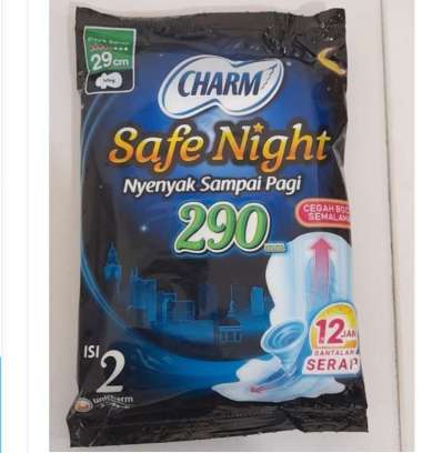 CHARM SAFE NIGHT WINGS 29 CM