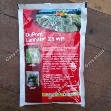 Insektisida Dupont Lannate 25WP 100gram