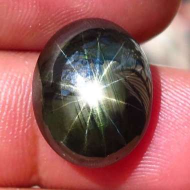 SS-254 Batu Permata Black Star Sapphire 12 Rays Safir Hitam Bintang 12 Sinar Thailand Natural 13.19 