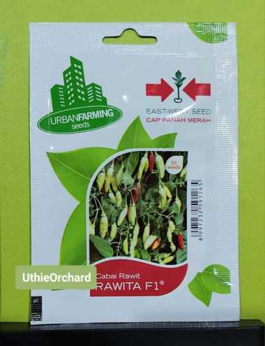 Benih Panah Merah - Cabe Rawit Rawita F1
