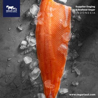 Ikan Salmon Fillet Utuh / Loin | Fresh Frozen & Segar |