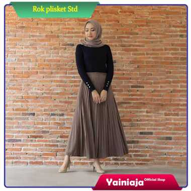 Rok panjang Plisket murah Mint