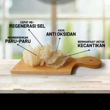 Sarang Burung Walet Sudut Bersih